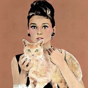 Bilder Blake Edwards