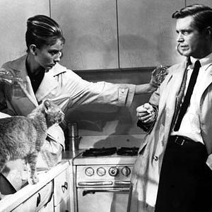 Bilder Blake Edwards