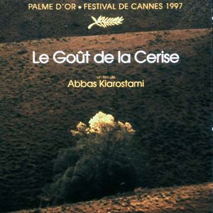 Bilder Der Geschmack der Kirsche