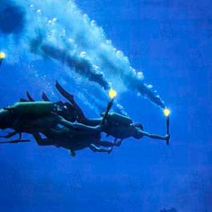 Bilder Schweigende Welt