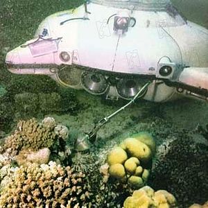 Bilder Schweigende Welt