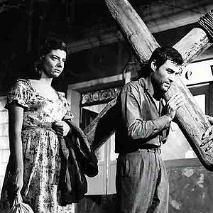 Bilder Gloria Menezes