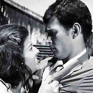 Bilder Gloria Menezes