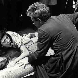 Bilder Gloria Menezes