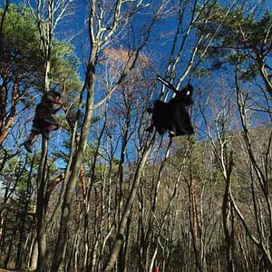 Bilder Ten Shimoyama