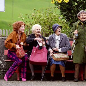 Bilder Die Herbstzeitlosen