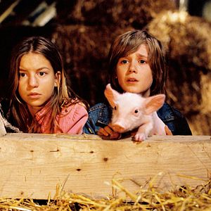 Bilder Rennschwein Rudi Rüssel 2