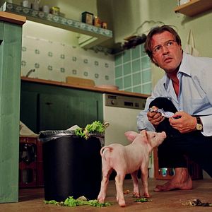 Bilder Rennschwein Rudi Rüssel 2