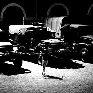 Bilder Henry Colomer