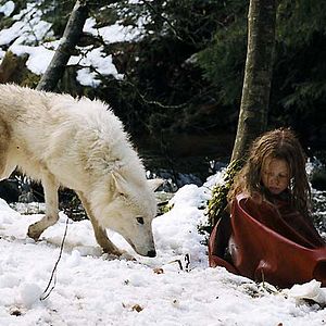 Bilder Survivre avec les loups