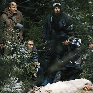 Bilder Survivre avec les loups