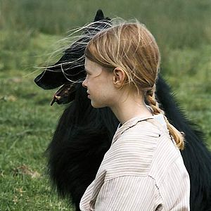 Bilder Survivre avec les loups