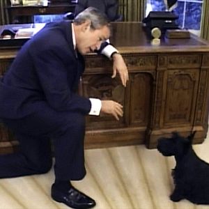 Bilder George W. Bush