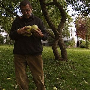 Bilder Der Unbequeme