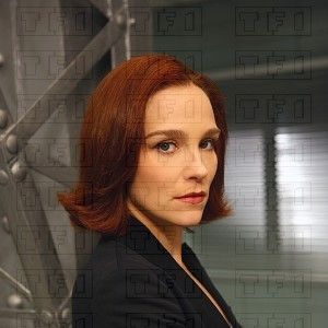 Bilder Sandrine Rigaux