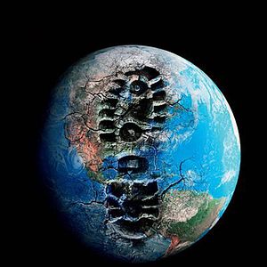 Bilder Leila Conners Petersen