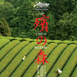 Bilder Der Wald der Trauer