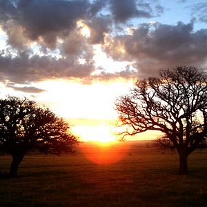 Bilder Stellet Licht