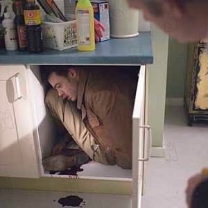 Bilder Alex Van Warmerdam