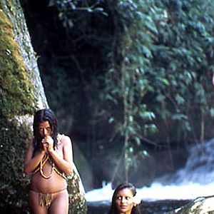 Bilder Der Smaragdwald