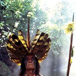 Bilder Der Smaragdwald