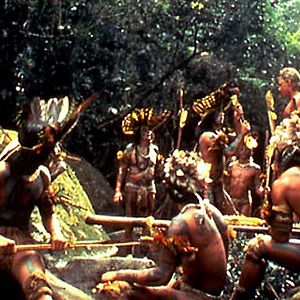 Bilder Der Smaragdwald