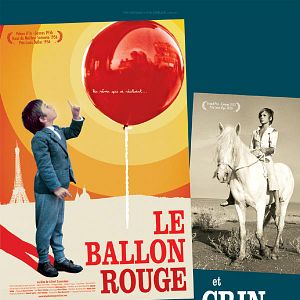 Bilder Der weiße Hengst