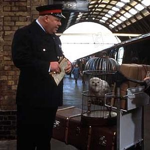 Bilder Daniel Radcliffe