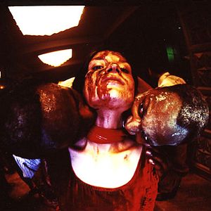 Bilder Wächter des Tages