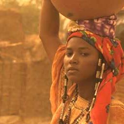 Bilder Dreams of Dust