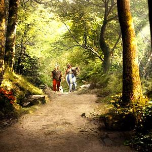 Bilder Clovis Cornillac