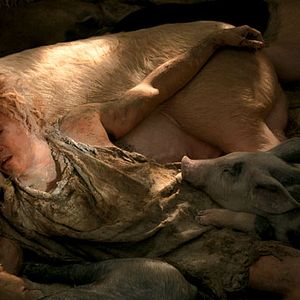 Bilder Seine Majestät das Schwein