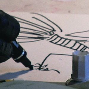 Bilder Rodolphe Marconi