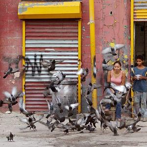 Bilder Alejandro Polanco