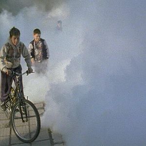 Bilder Das Moskitoproblem und andere Geschichten