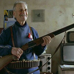 Bilder Das Moskitoproblem und andere Geschichten