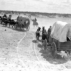 Bilder Man nennt mich Hondo