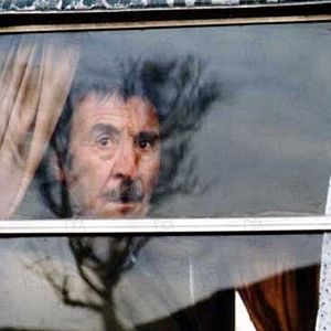 Bilder Bahman Ghobadi