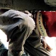 Bilder Bahman Ghobadi