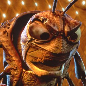 Bilder Das große Krabbeln