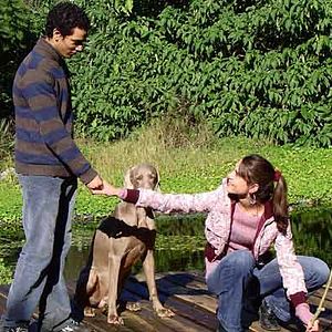 Bilder Mehdi Ben Attia