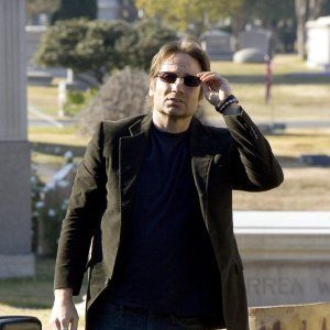 Bilder Californication