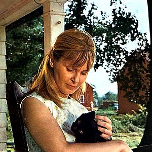 Bilder Die  Liebe eines Sommers