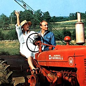 Bilder Die  Liebe eines Sommers