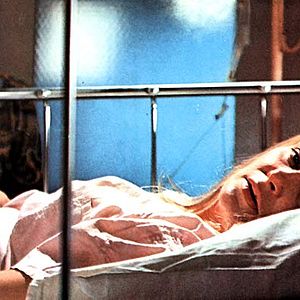 Bilder Die  Liebe eines Sommers