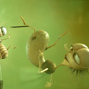 Bilder Frederic Guillaume