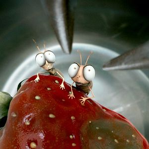 Bilder Frederic Guillaume