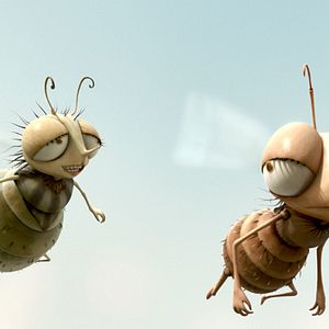 Bilder Frederic Guillaume