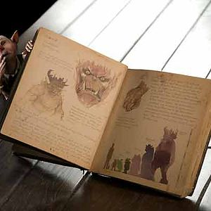 Bilder Die Geheimnisse der Spiderwicks