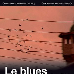 Bilder Florence Strauss